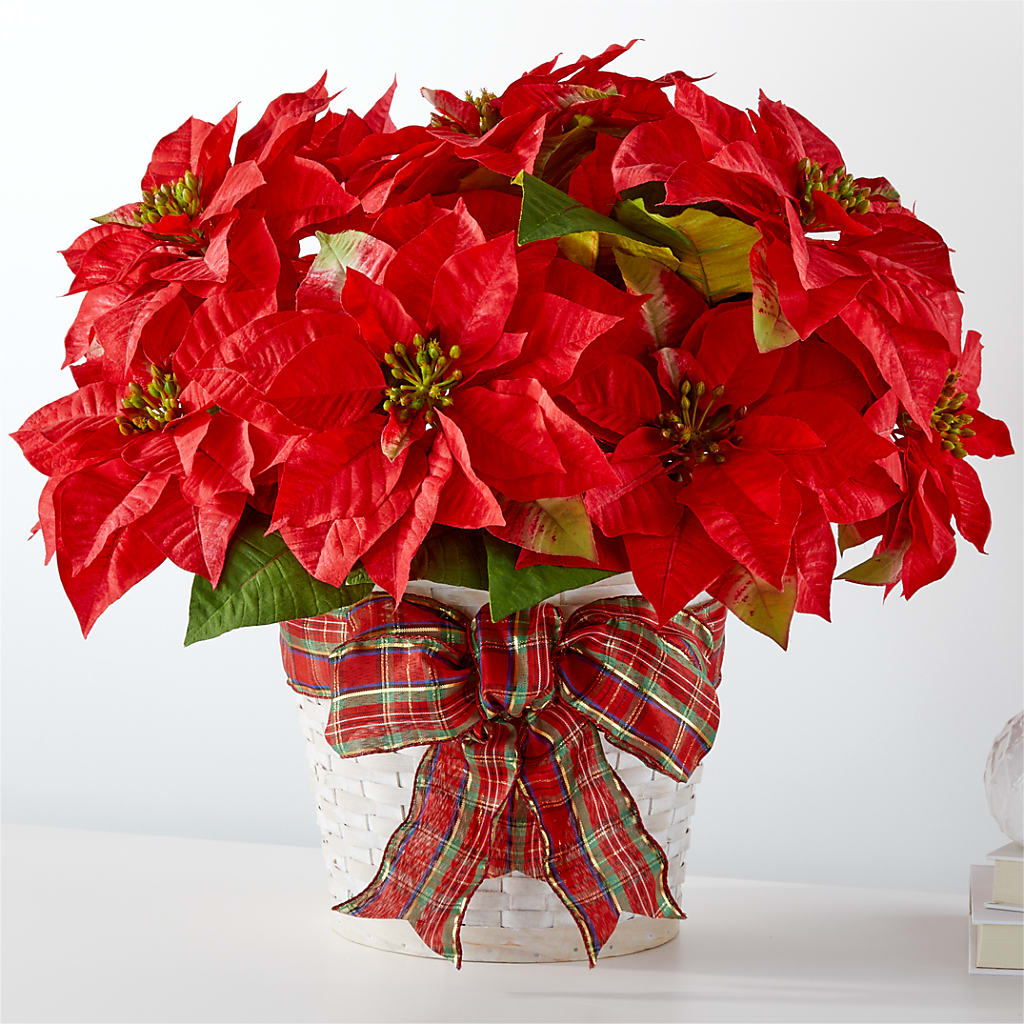 Happiest Holidays Poinsettia – Colonial Nursery Garden Center, Ladysmith WI