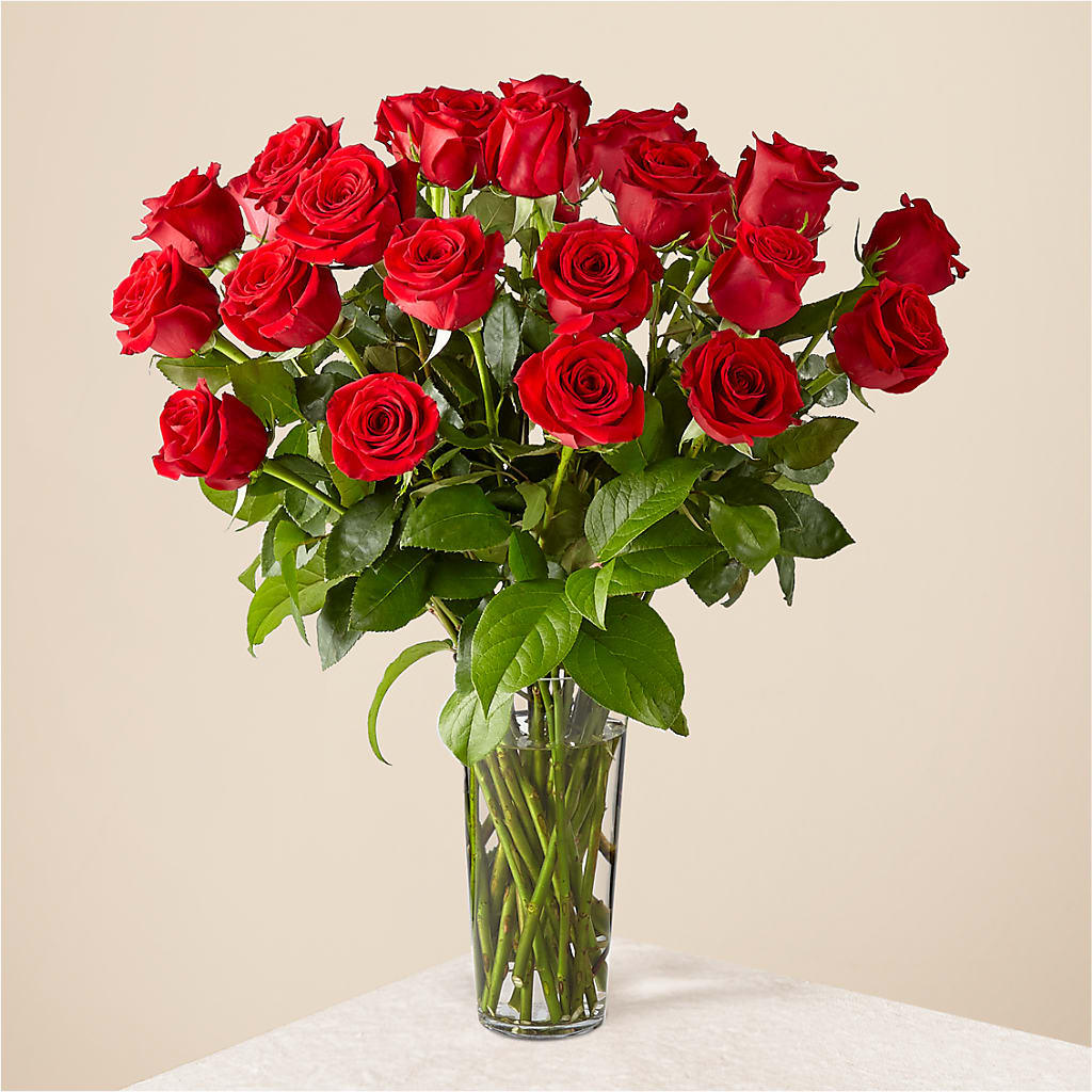 Long Stem Red Rose Bouquet – Colonial Nursery Garden Center, Ladysmith WI
