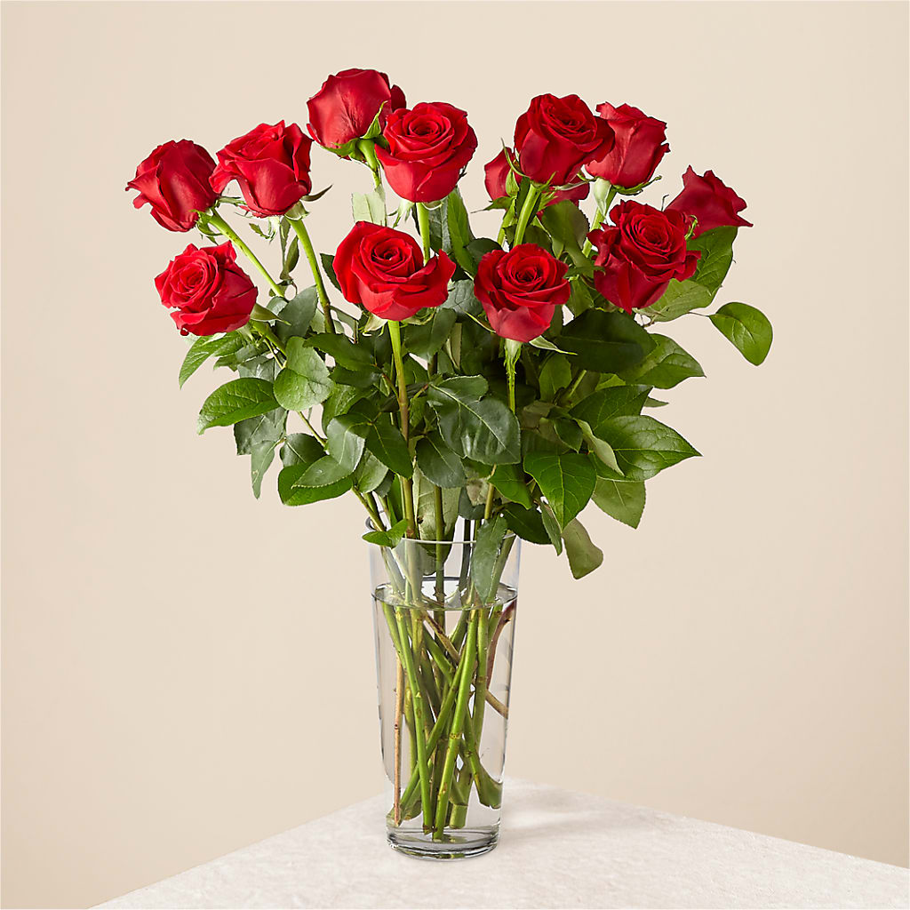 Long Stem Red Rose Bouquet – Colonial Nursery Garden Center, Ladysmith WI