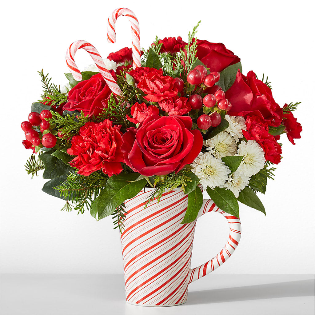 Peppermint Swirl Mug – Colonial Nursery Garden Center, Ladysmith WI