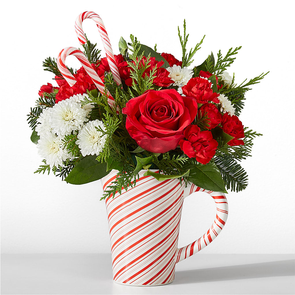 Peppermint Swirl Mug – Colonial Nursery Garden Center, Ladysmith WI