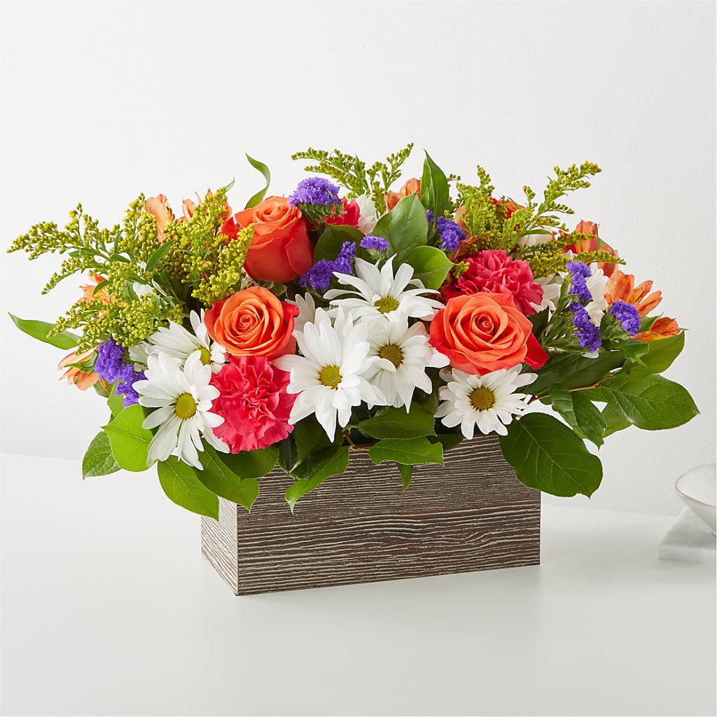 Oopsie Daisy Box Bouquet – Colonial Nursery Garden Center, Ladysmith WI