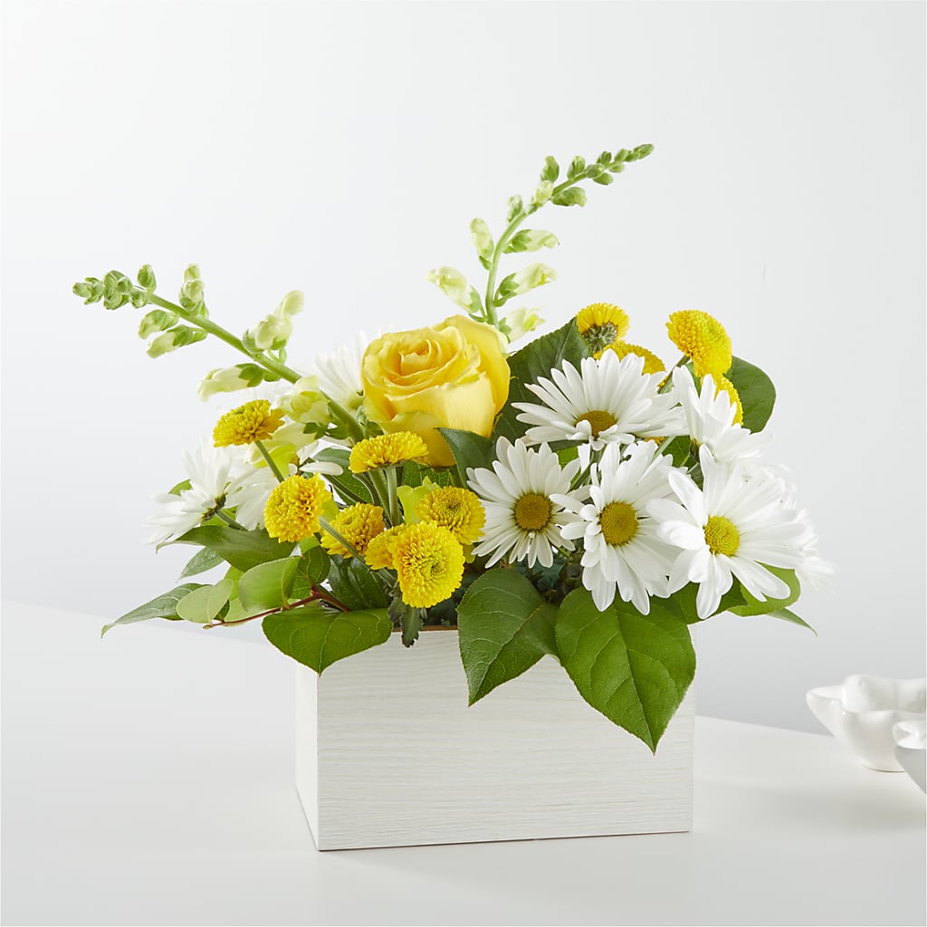 Sun Salutation Box Bouquet – Colonial Nursery Garden Center, Ladysmith WI