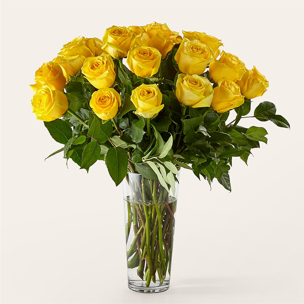 Long Stem Yellow Rose Bouquet – Colonial Nursery Garden Center, Ladysmith WI