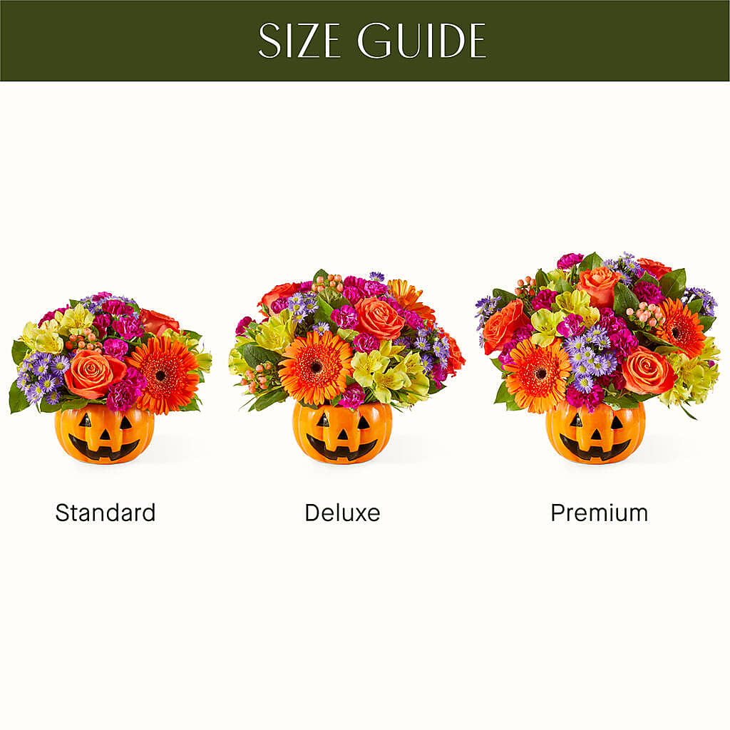Tricks & Treats Pumpkin – Colonial Nursery Garden Center, Ladysmith WI