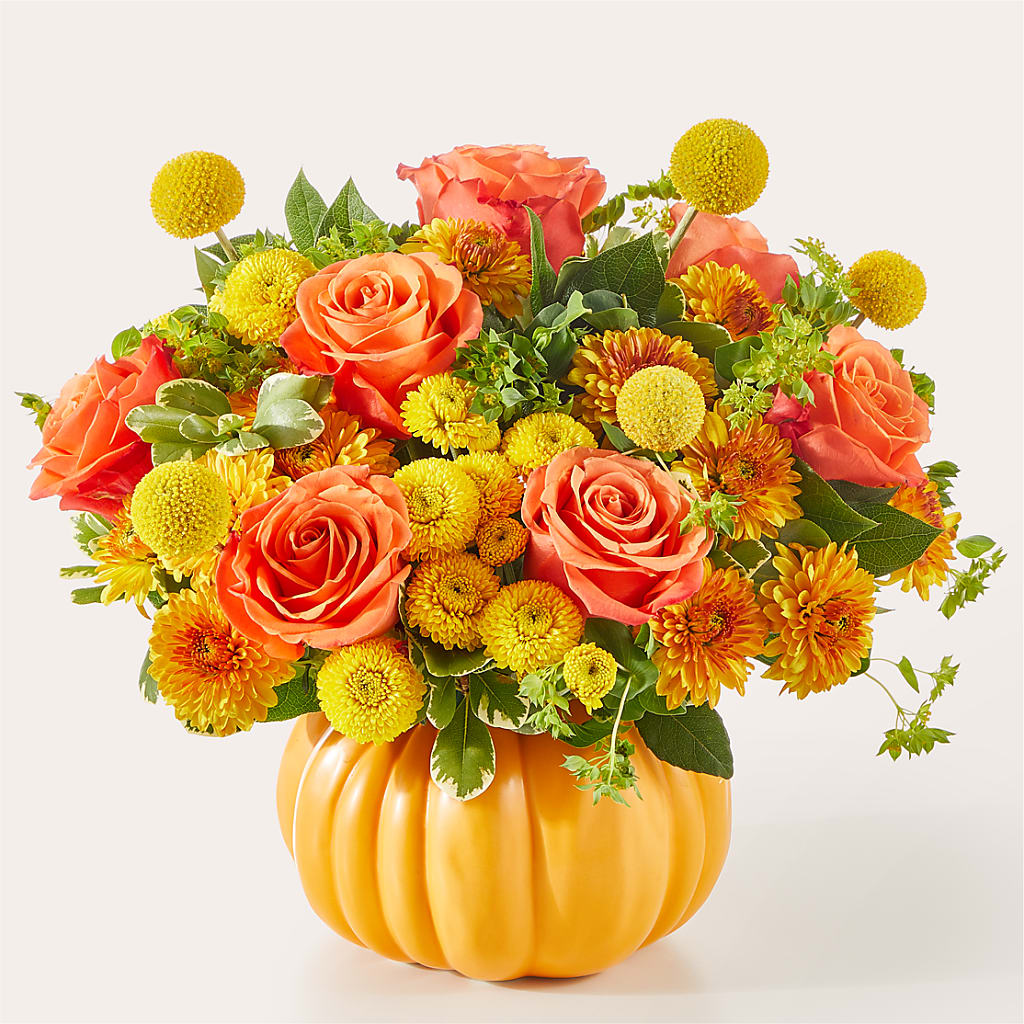 Gourdgeous Pumpkin – Colonial Nursery Garden Center, Ladysmith WI