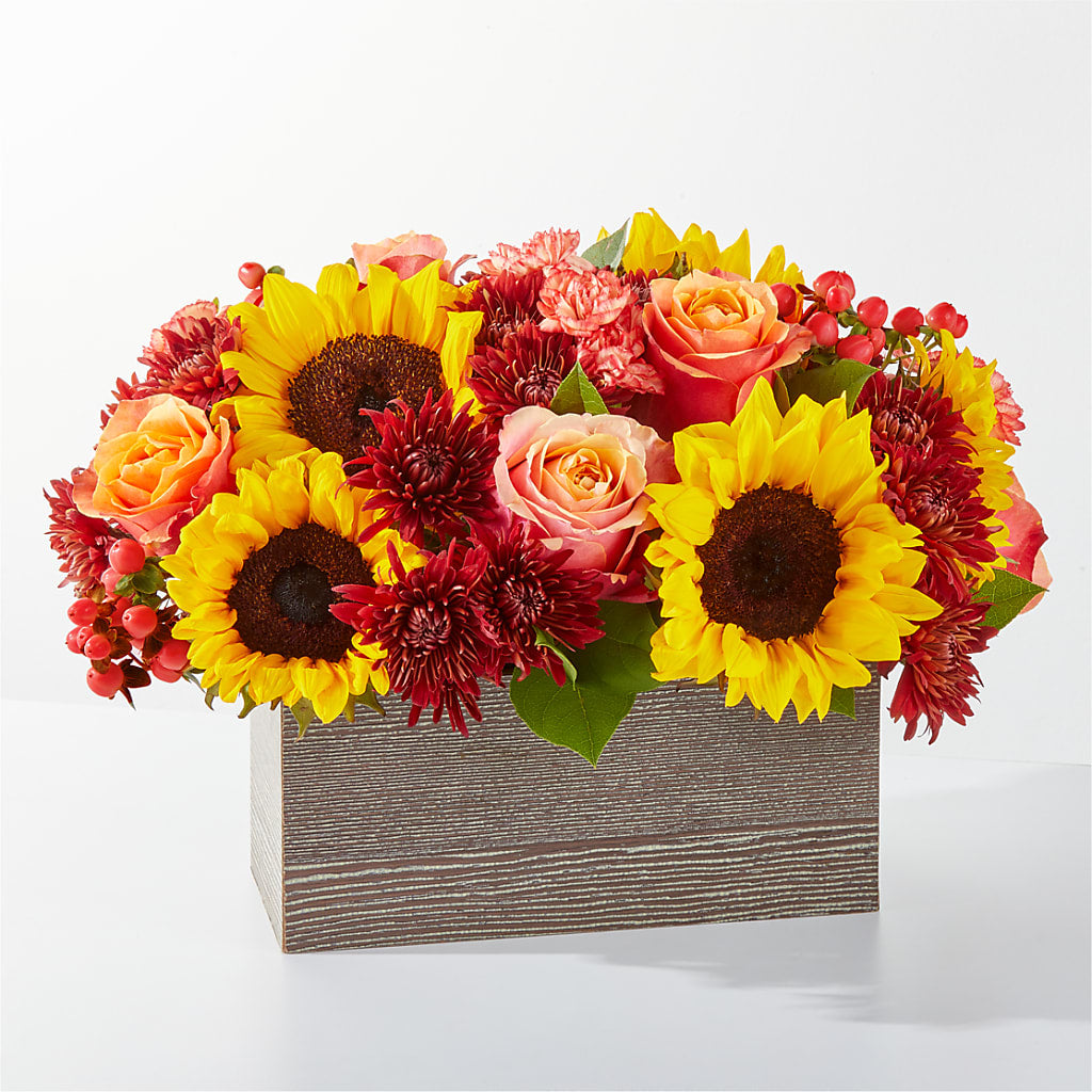 Fresh Cider Bouquet – Colonial Nursery Garden Center, Ladysmith WI