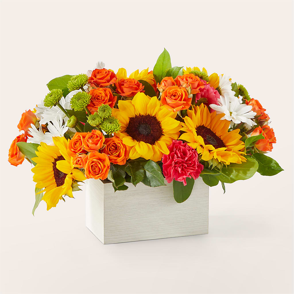 Sun-drenched Blooms Box Bouquet – Colonial Nursery Garden Center, Ladysmith WI
