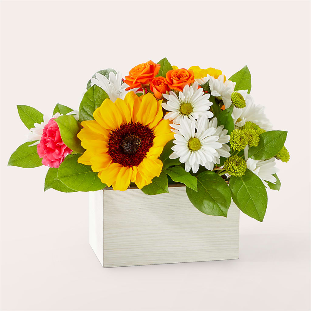Sun-drenched Blooms Box Bouquet – Colonial Nursery Garden Center, Ladysmith WI