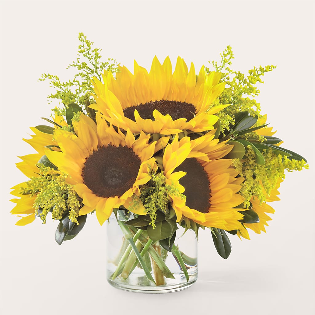 Beaming Sunflower Bouquet – Colonial Nursery Garden Center, Ladysmith WI
