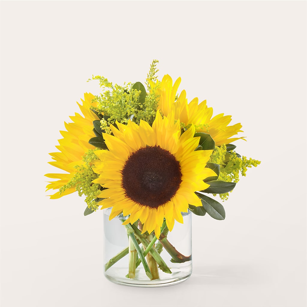 Beaming Sunflower Bouquet – Colonial Nursery Garden Center, Ladysmith WI