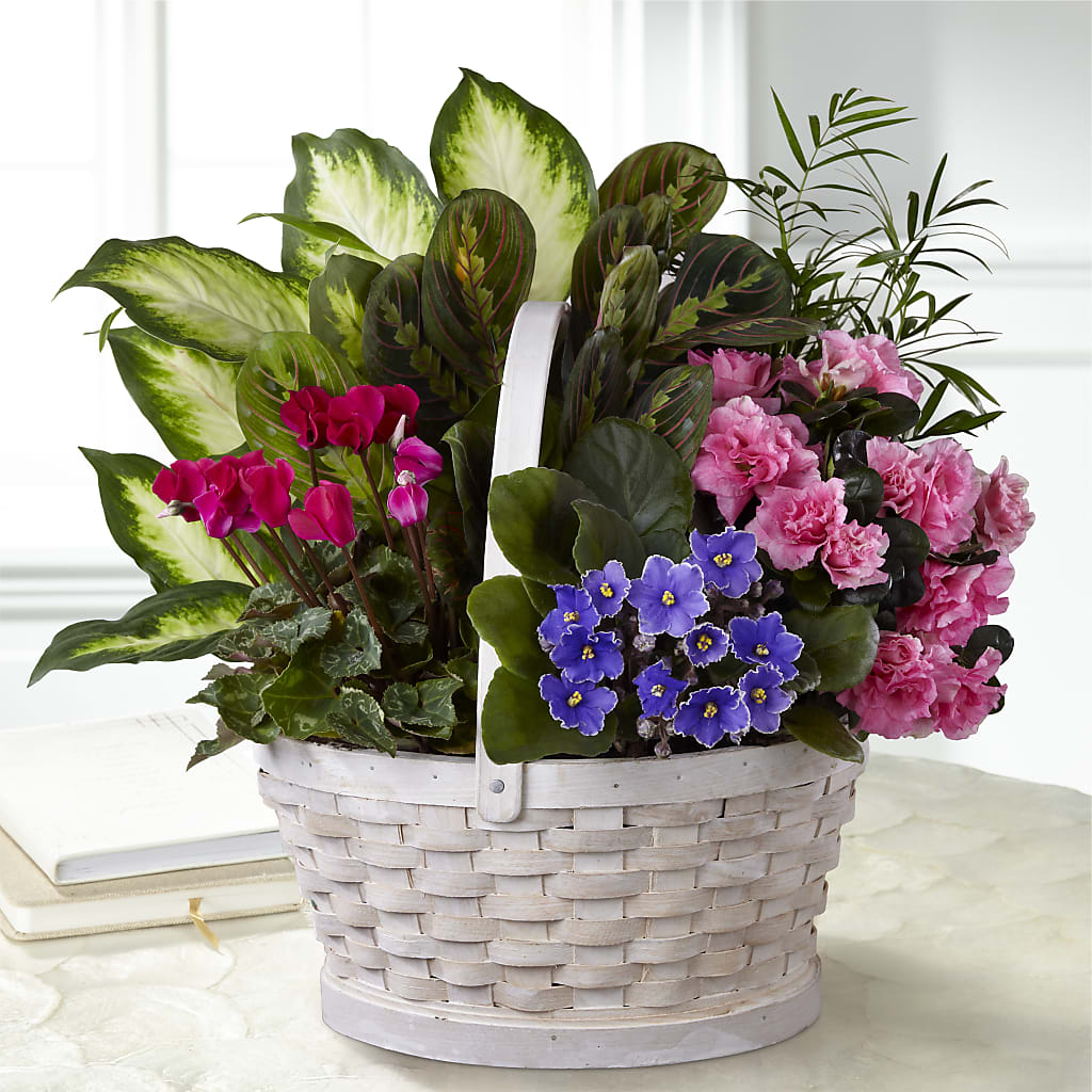 Peaceful Garden Planter – Colonial Nursery Garden Center, Ladysmith WI