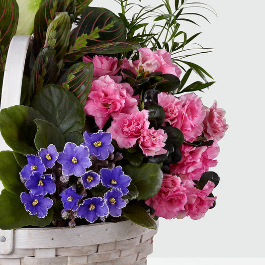 Peaceful Garden Planter – Colonial Nursery Garden Center, Ladysmith WI