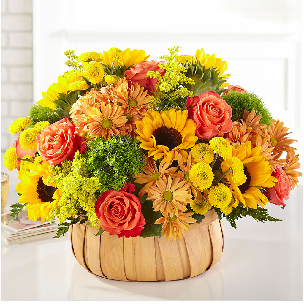 Harvest Sunflower Basket – Colonial Nursery Garden Center, Ladysmith WI
