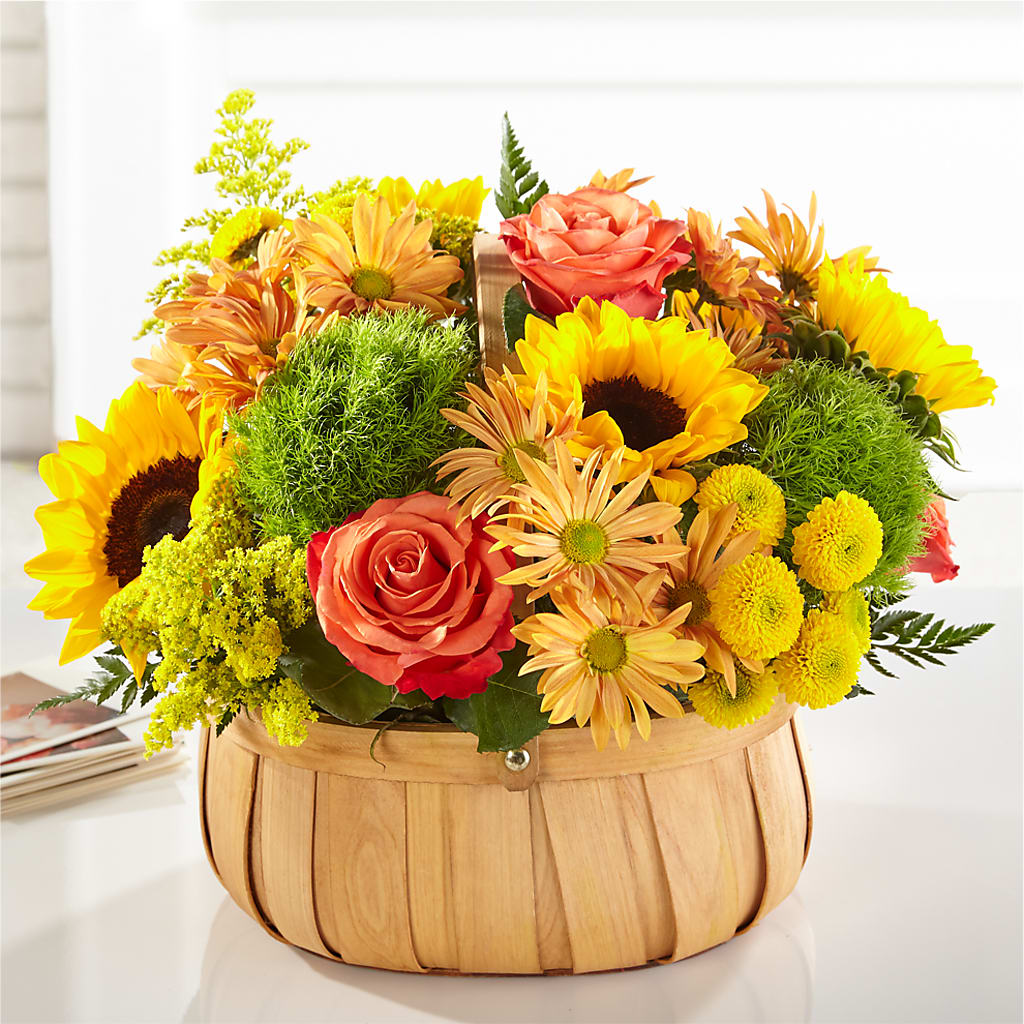 Harvest Sunflower Basket – Colonial Nursery Garden Center, Ladysmith WI
