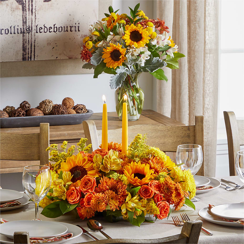 Golden Gathering Bundle – Colonial Nursery Garden Center, Ladysmith WI