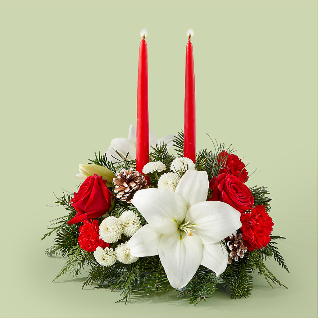 Seasonal Festivities Centerpiece – Colonial Nursery Garden Center, Ladysmith WI