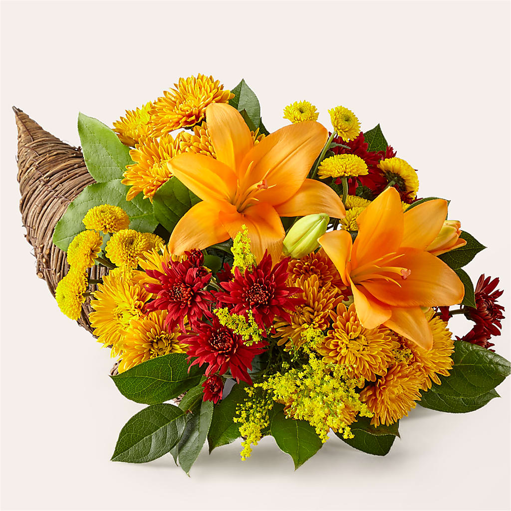 Feast of Color Cornucopia – Colonial Nursery Garden Center, Ladysmith WI