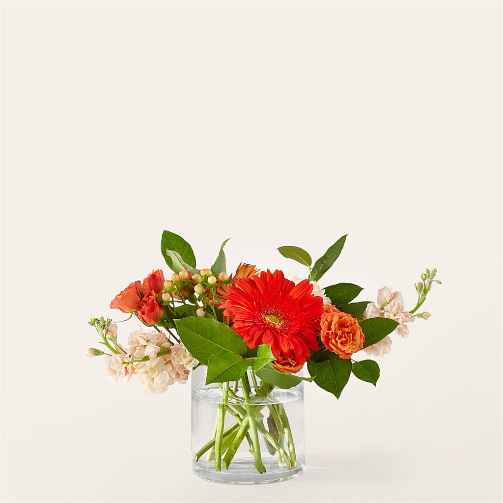 Paloma Please Bouquet – Colonial Nursery Garden Center, Ladysmith WI