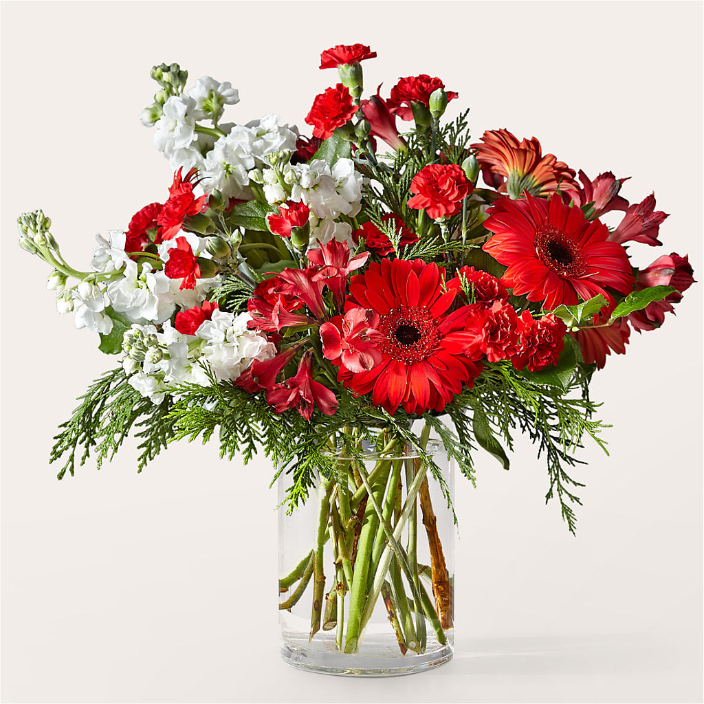 Holidaisy Bouquet – Colonial Nursery Garden Center, Ladysmith WI