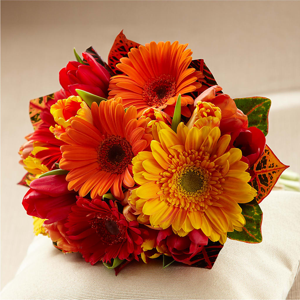 Sunglow Bouquet – Colonial Nursery Garden Center, Ladysmith WI