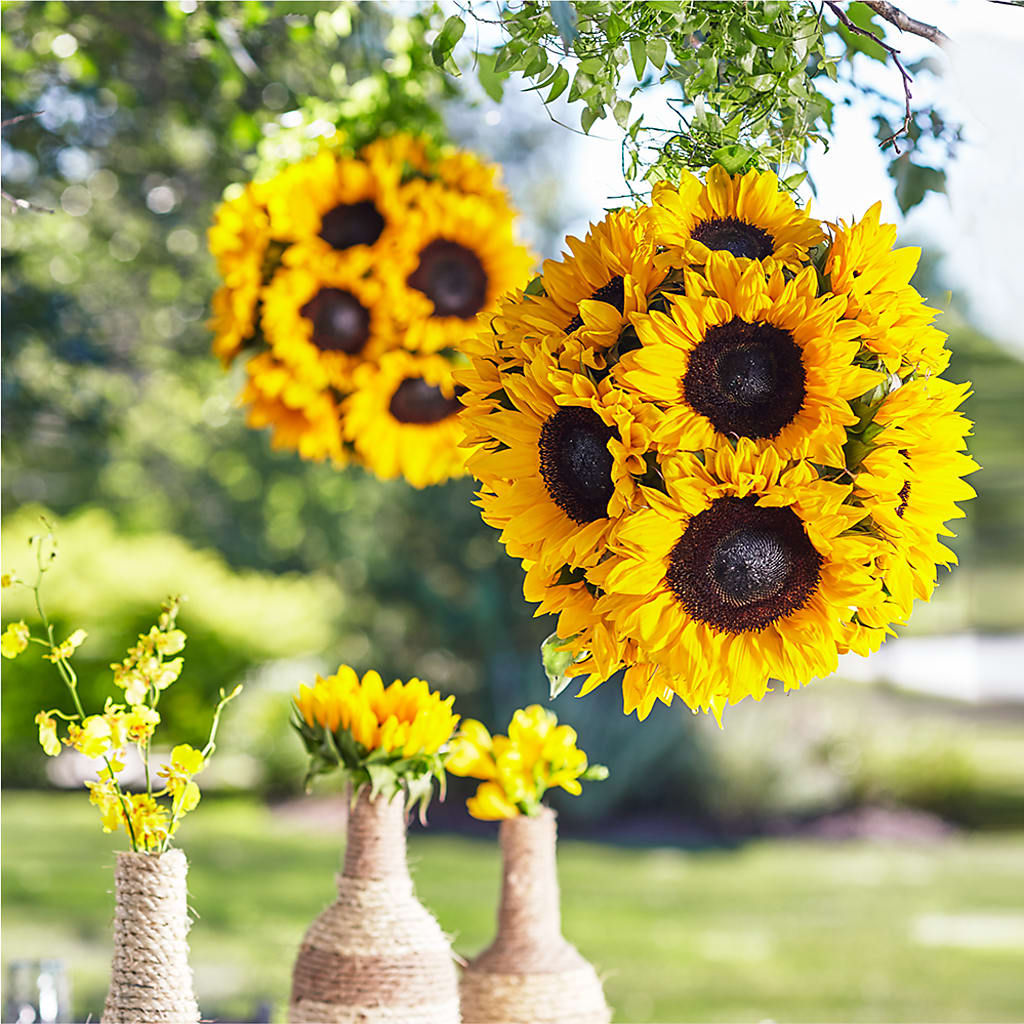 Sublime Garden Hanging Arrangement – Colonial Nursery Garden Center, Ladysmith WI