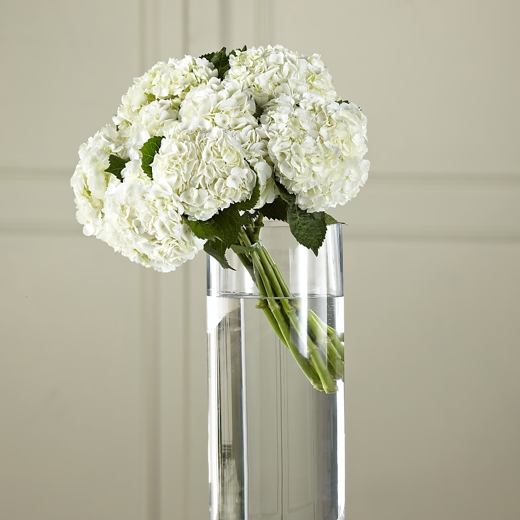White Hydrangea Hand-Tied Bouquet – Colonial Nursery Garden Center, Ladysmith WI