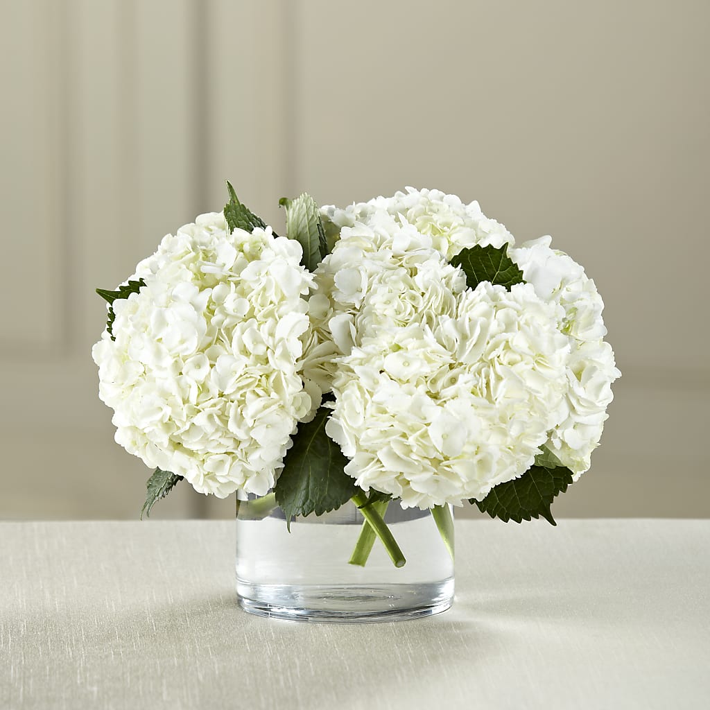 White Hydrangea Bouquet – Colonial Nursery Garden Center, Ladysmith WI