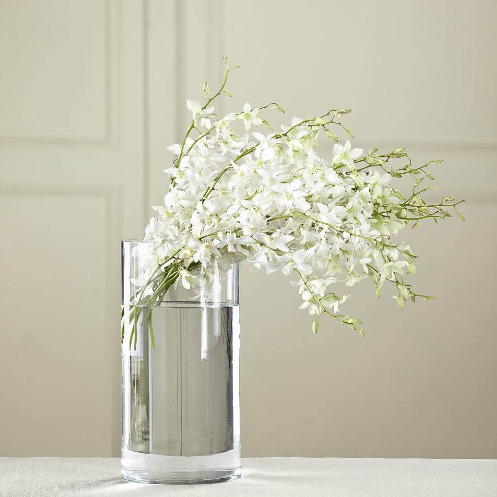 White Dendrobium Bouquet – Colonial Nursery Garden Center, Ladysmith WI