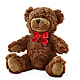 Adorable Plush Bear –  Colonial Nursery Garden Center, Ladysmith WI