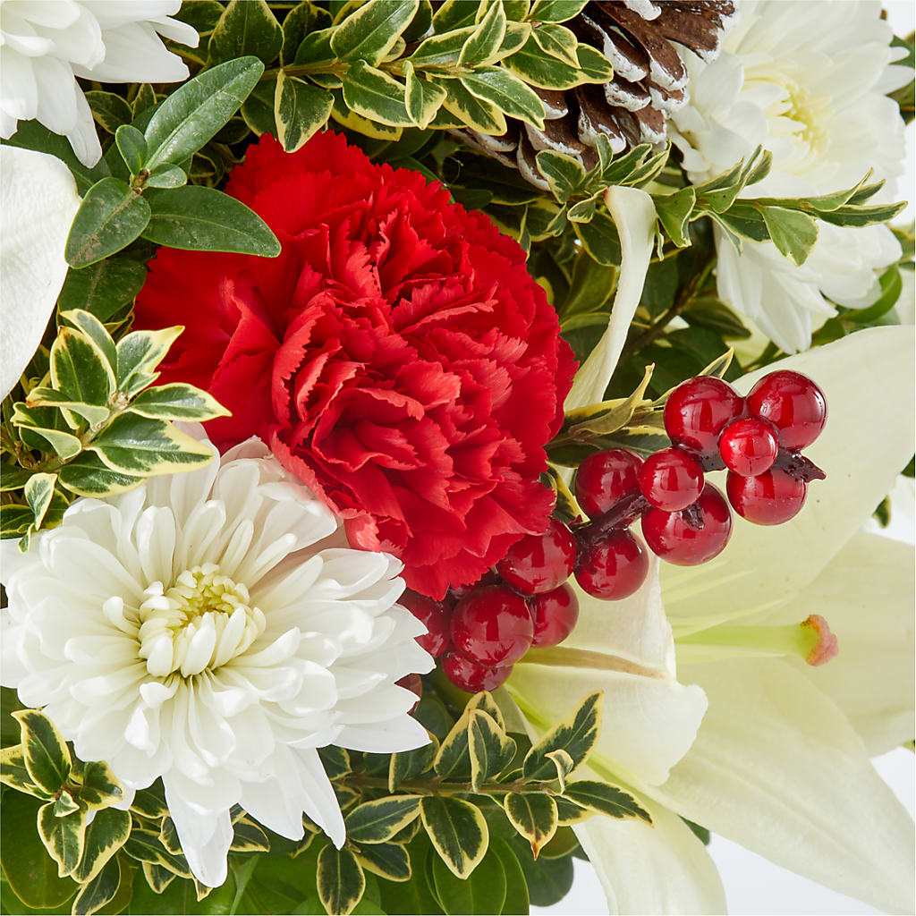 Festive Moments Tree –  Colonial Nursery Garden Center, Ladysmith WI