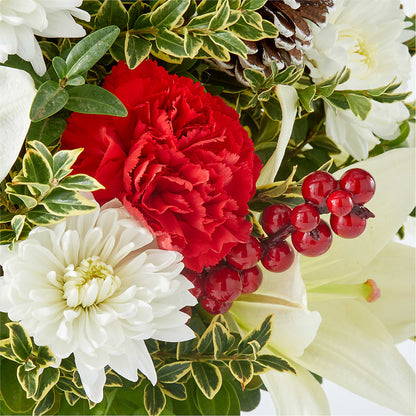 Festive Moments Tree –  Colonial Nursery Garden Center, Ladysmith WI