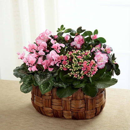Pink Assortment –  Colonial Nursery Garden Center, Ladysmith WI