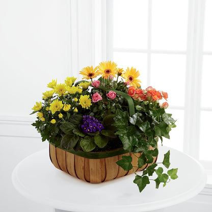Gentle Blossoms Basket –  Colonial Nursery Garden Center, Ladysmith WI