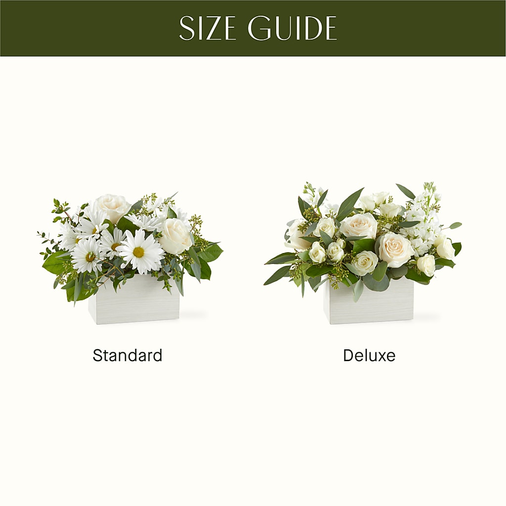 Fresh Linen Box Bouquet –  Colonial Nursery Garden Center, Ladysmith WI