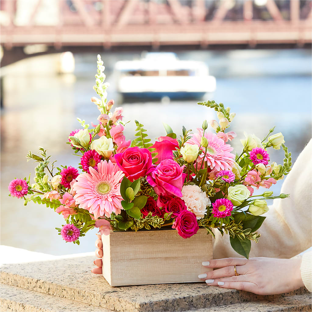 Too Cute Bouquet –  Colonial Nursery Garden Center, Ladysmith WI