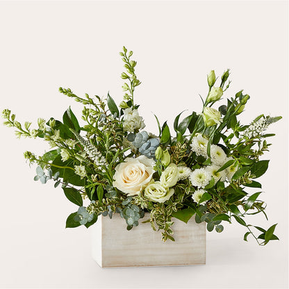 Cashmere Bouquet –  Colonial Nursery Garden Center, Ladysmith WI