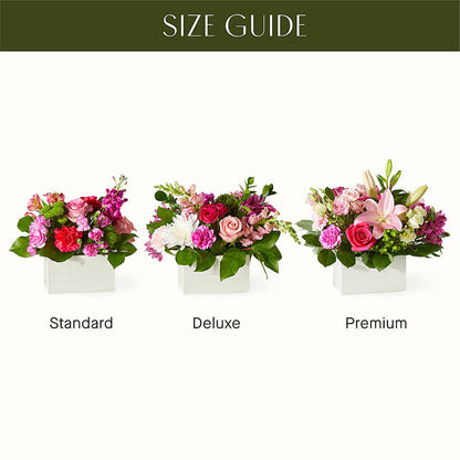 Sweetberry Box – A Florist Original –  Colonial Nursery Garden Center, Ladysmith WI