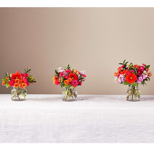 Fiesta Bouquet –  Colonial Nursery Garden Center, Ladysmith WI