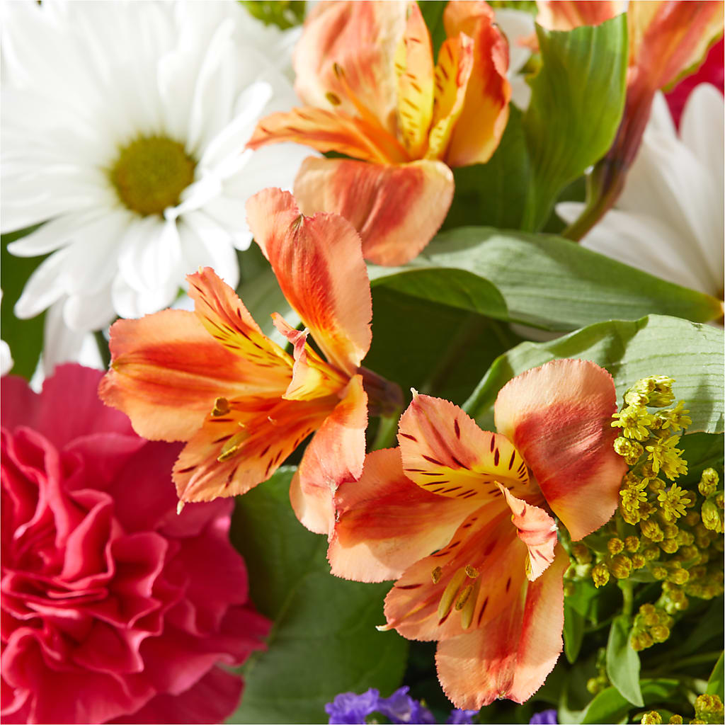 Oopsie Daisy Box Bouquet –  Colonial Nursery Garden Center, Ladysmith WI