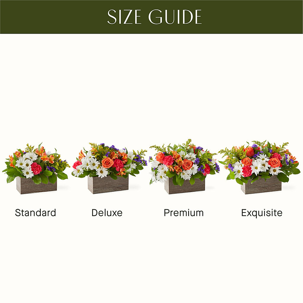 Oopsie Daisy Box Bouquet –  Colonial Nursery Garden Center, Ladysmith WI