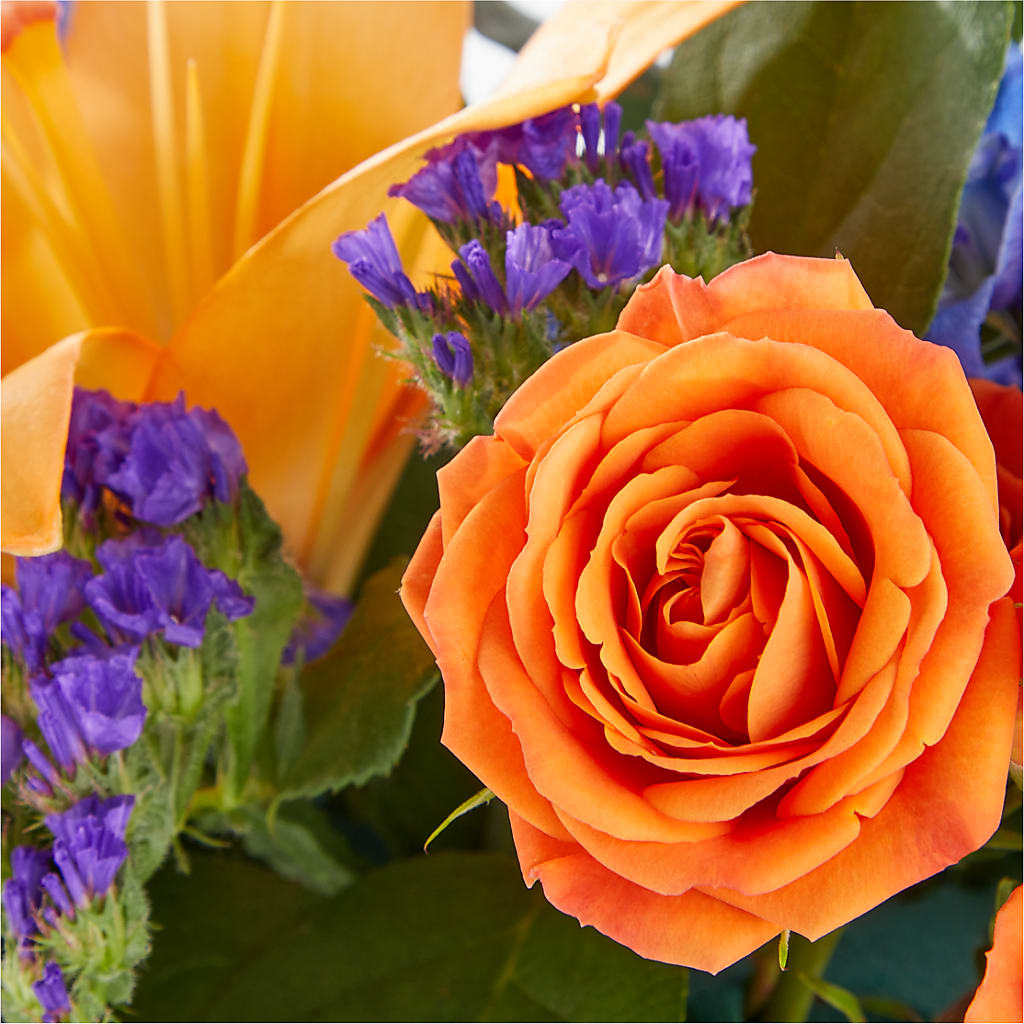 Radiant Citrus Box Bouquet –  Colonial Nursery Garden Center, Ladysmith WI