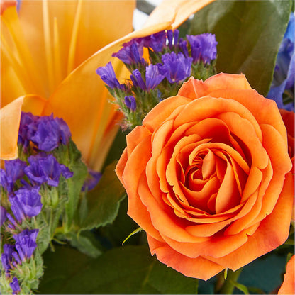Radiant Citrus Box Bouquet –  Colonial Nursery Garden Center, Ladysmith WI
