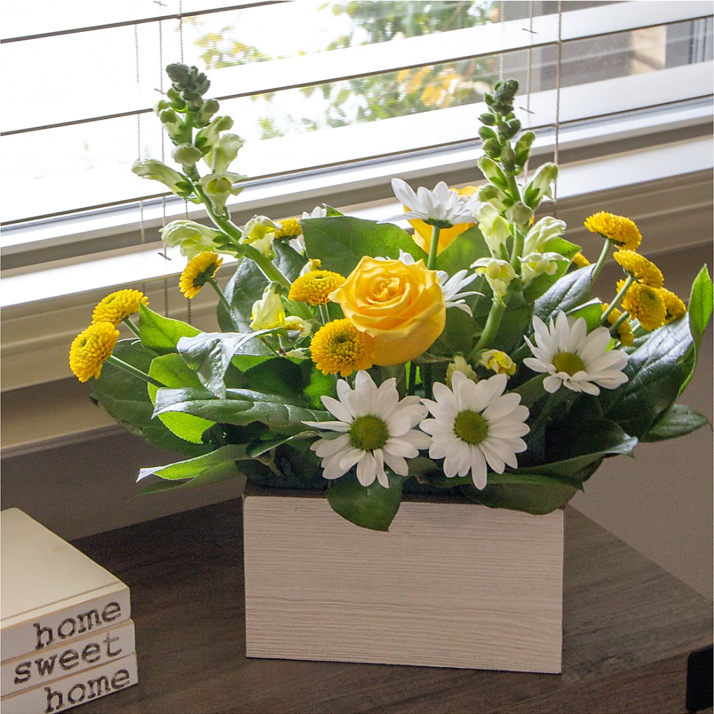 Sun Salutation Box Bouquet –  Colonial Nursery Garden Center, Ladysmith WI