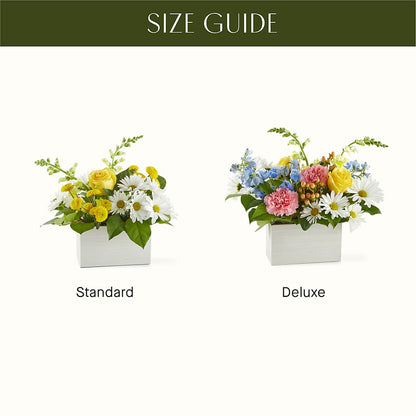 Sun Salutation Box Bouquet –  Colonial Nursery Garden Center, Ladysmith WI