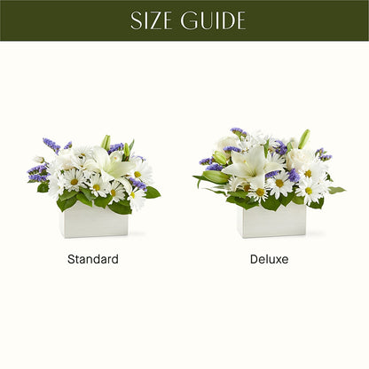 Beyond Blue Box Bouquet –  Colonial Nursery Garden Center, Ladysmith WI