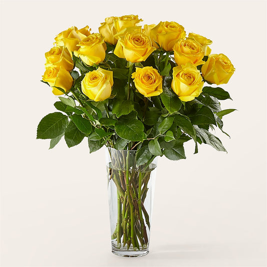 Long Stem Yellow Rose Bouquet –  Colonial Nursery Garden Center, Ladysmith WI