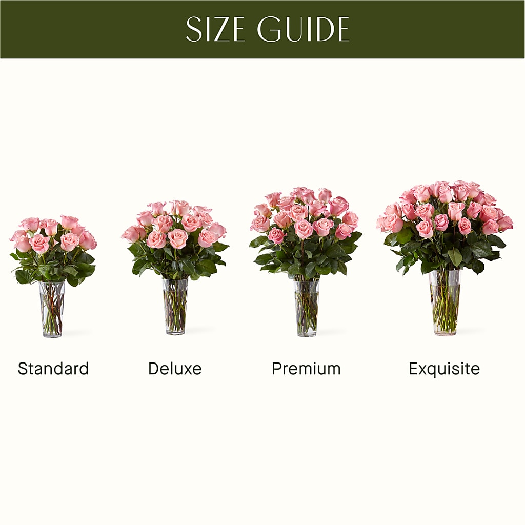 Long Stem Pink Rose Bouquet –  Colonial Nursery Garden Center, Ladysmith WI
