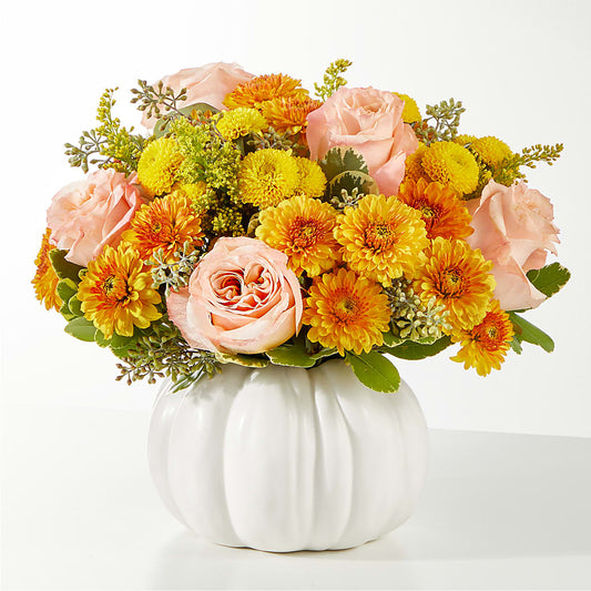 Peachy Pumpkin –  Colonial Nursery Garden Center, Ladysmith WI