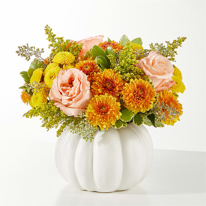 Peachy Pumpkin –  Colonial Nursery Garden Center, Ladysmith WI